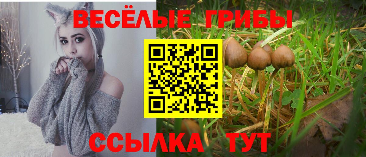 Галлюциногенные грибы прущие грибы  Вход с VPN  Новотроицк 