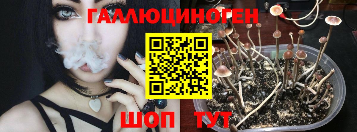 Галлюциногенные грибы мухоморы Новотроицк