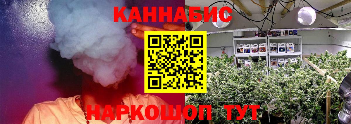 Бошки марихуана Bruce Banner  Вход с VPN  Марихуана сатива  Новотроицк  Каннабис марихуана  Конопля планчик 